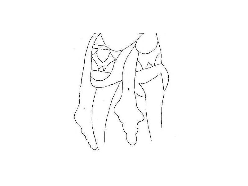 kain kancut-tiedup loincloth-warriors